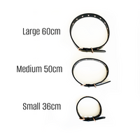 The Rockstar Dog Collar, Black Leather with Gold, Silver, or Rose Gold Studs