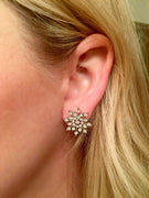 DOORBUSTER- Snowflake earrings