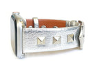 The Rockstar in Silver for Apple Watch