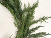 Cedar Cypress Pine Garland