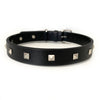 Rockstar Pet Collar