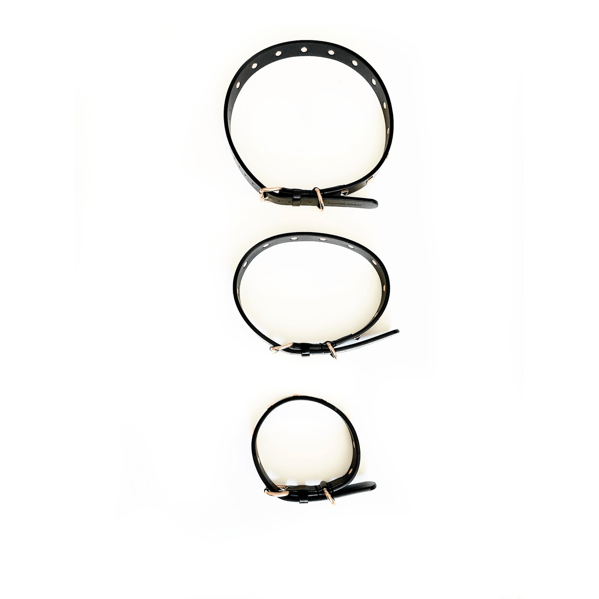 The Rockstar Dog Collar, Black Leather with Gold, Silver, or Rose Gold Studs