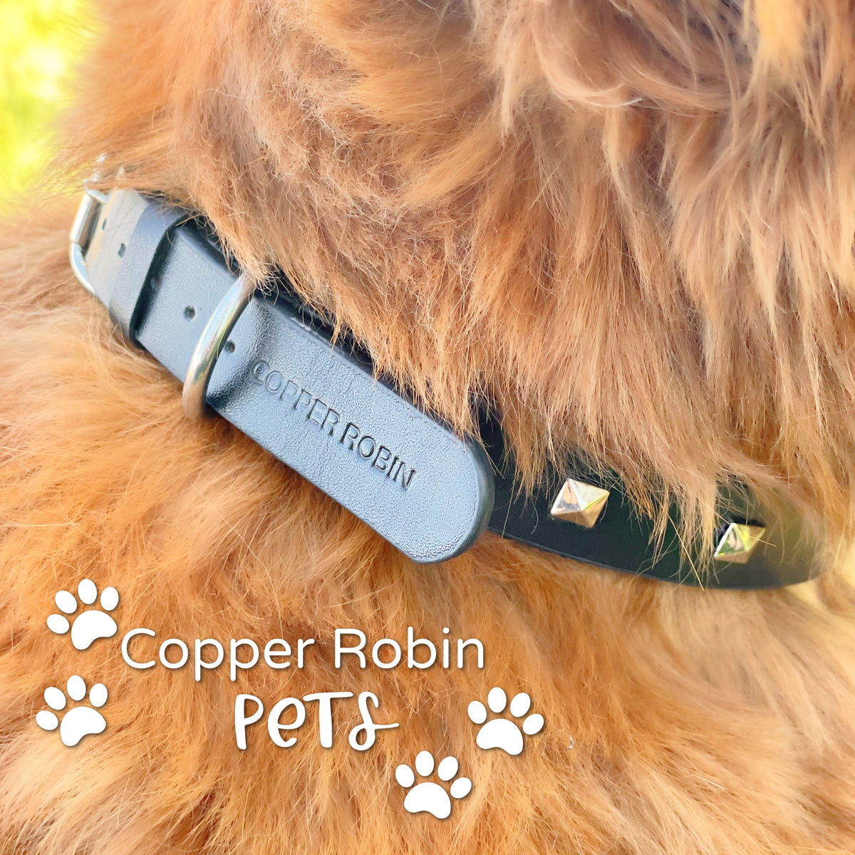 The Rockstar Dog Collar, Black Leather with Gold, Silver, or Rose Gold Studs