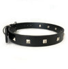 Rockstar Pet Collar