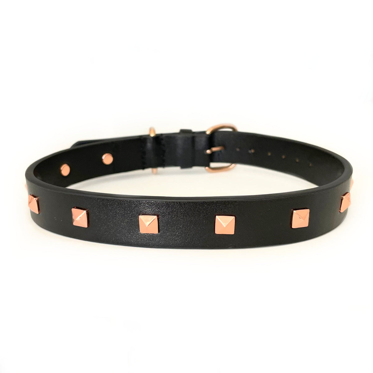 The Rockstar Dog Collar, Black Leather with Gold, Silver, or Rose Gold Studs