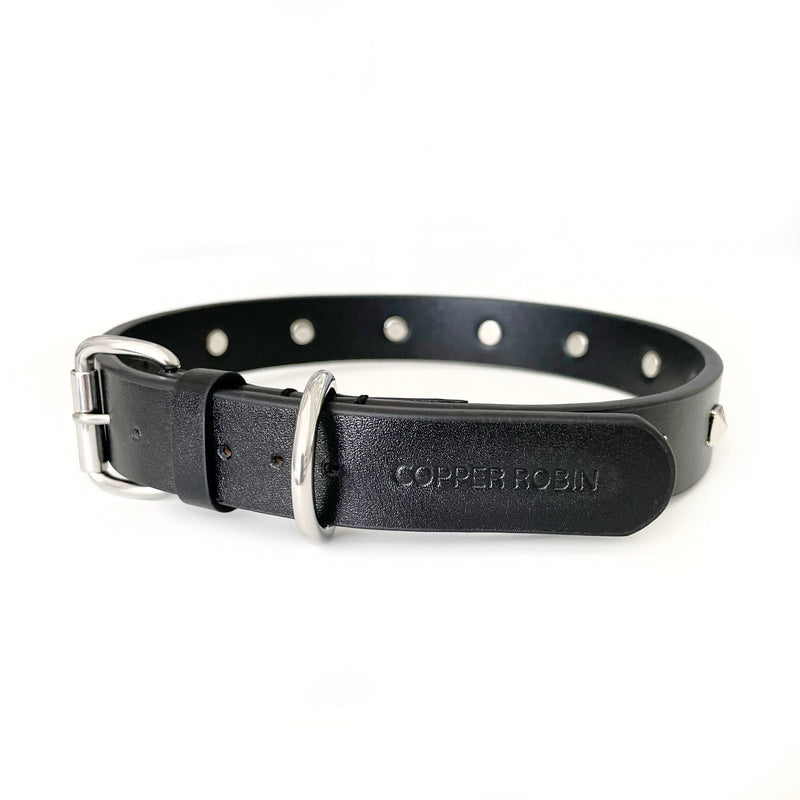 Rockstar Pet Collar