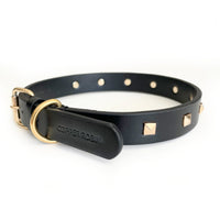 Rockstar Pet Collar