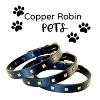 Rockstar Pet Collar