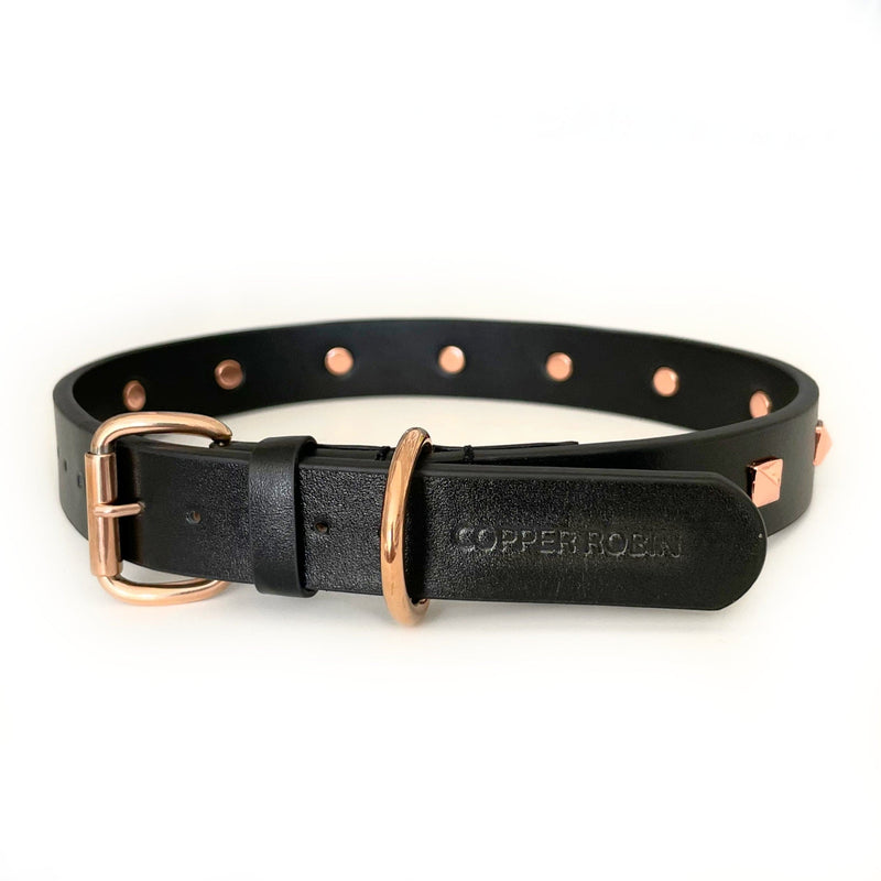 Rockstar Pet Collar